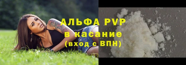 шишки Арсеньев