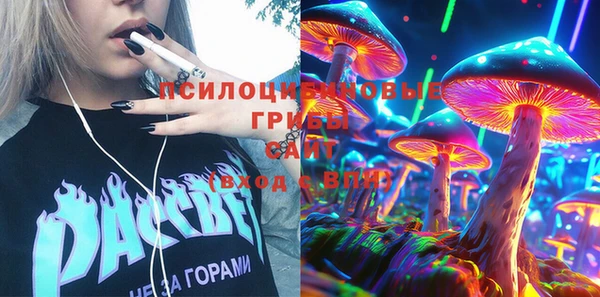 бошки Аркадак