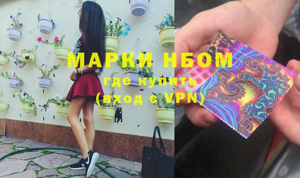 шишки Арсеньев