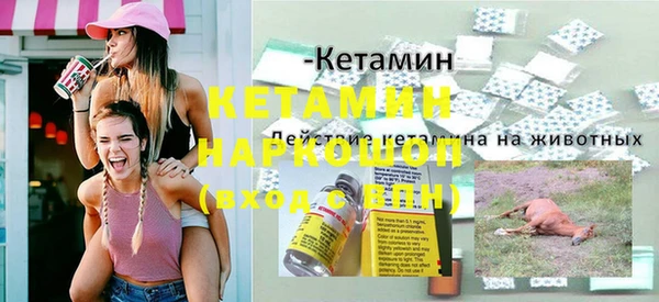 шишки Арсеньев