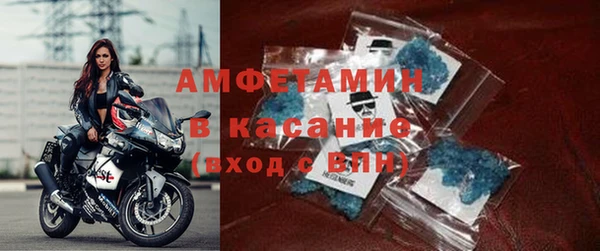 шишки Арсеньев