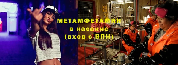 шишки Арсеньев